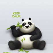 Panda bear
