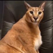 lombardo