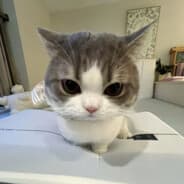 linue