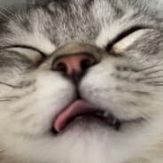 ReXionn