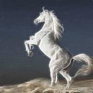 White_Stallion223