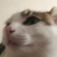 c0sta