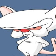 Brain