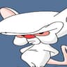 Brain