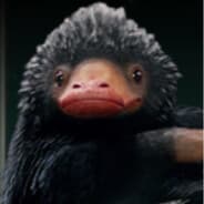 Schniffler