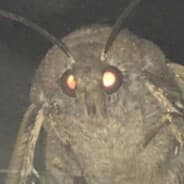 Ghostder