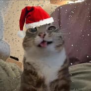 onj