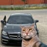 Brabus