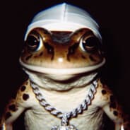 LANDODGER