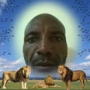 BulSoN