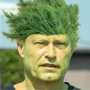 Dill Schweiger