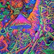 TrippMode