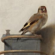g0ldfinch ♥N ♥M