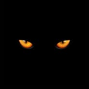 Gato Negro