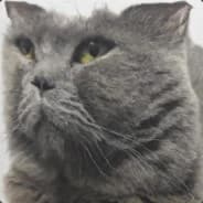 Ted