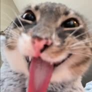 Lisav