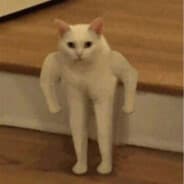DENYY