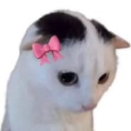 hujoza