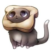 ToastCat
