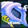 vKoN