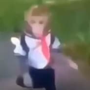 bonito e belo