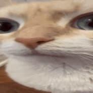 uuh