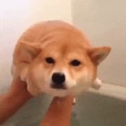 Mark
