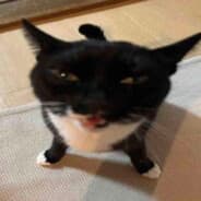 RAHHHHH