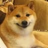 Bork Drive