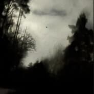 revengeed