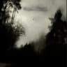 revengeed