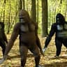 gorilla dance party