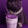 LeanCat