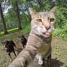 kitty