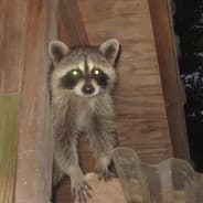 Carl Whipmiheiney Jr.