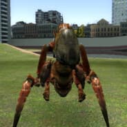 zulzut