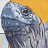 Old Turtle