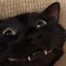 Jøts