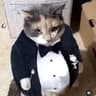 sir cat