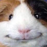 Cleetus