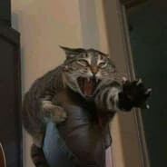 Qiz