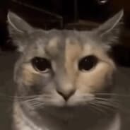 dehqoni