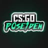 p0se