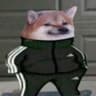 B0hriboi