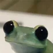 froggyfroggyfroggyfroggy