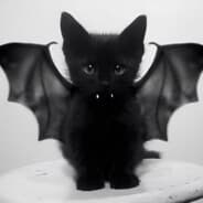 olafkswg ⇄ B>Skins