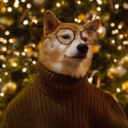 DogoInfinit