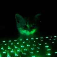Tom