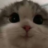 pevu.'