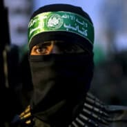 ISIS enjoyer